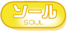 株式会社ソールのロゴ